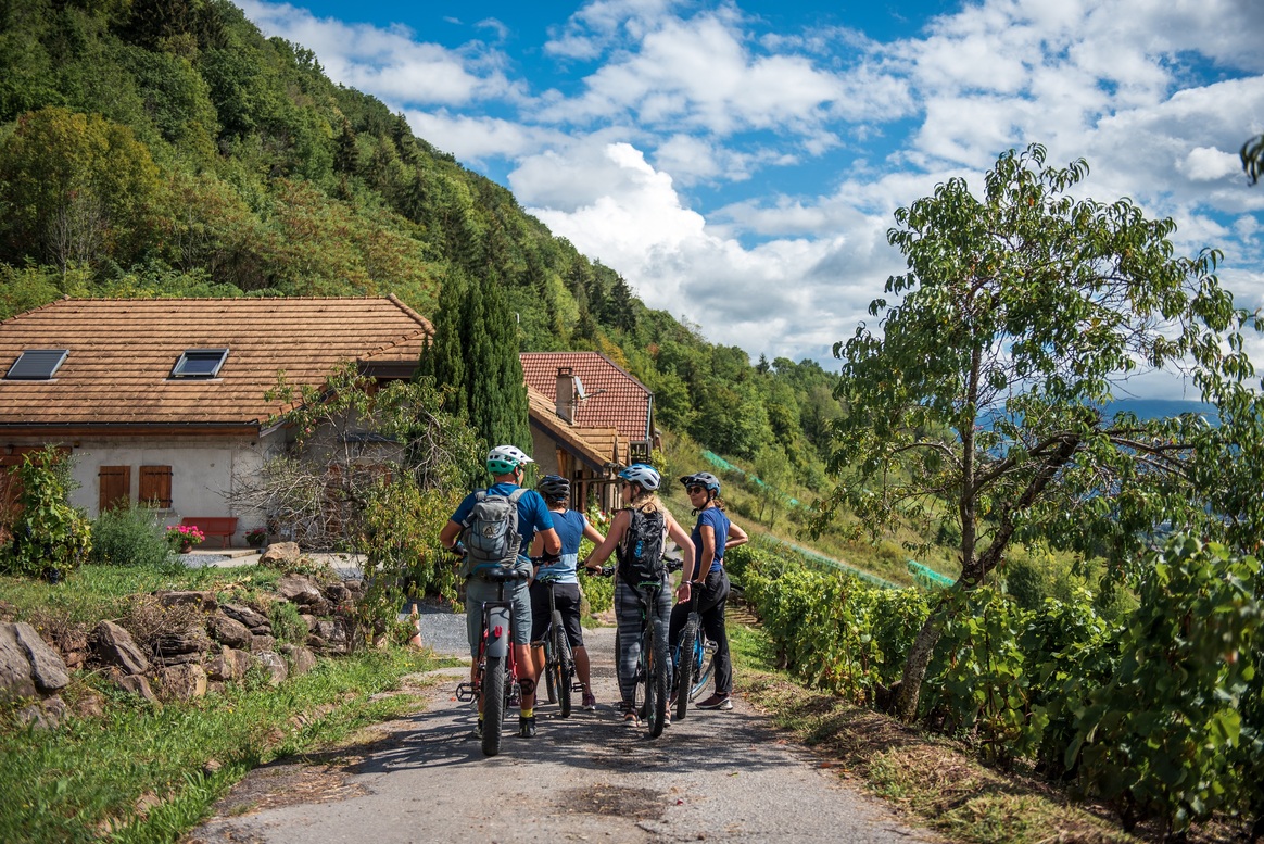 Gourmet escape on bike