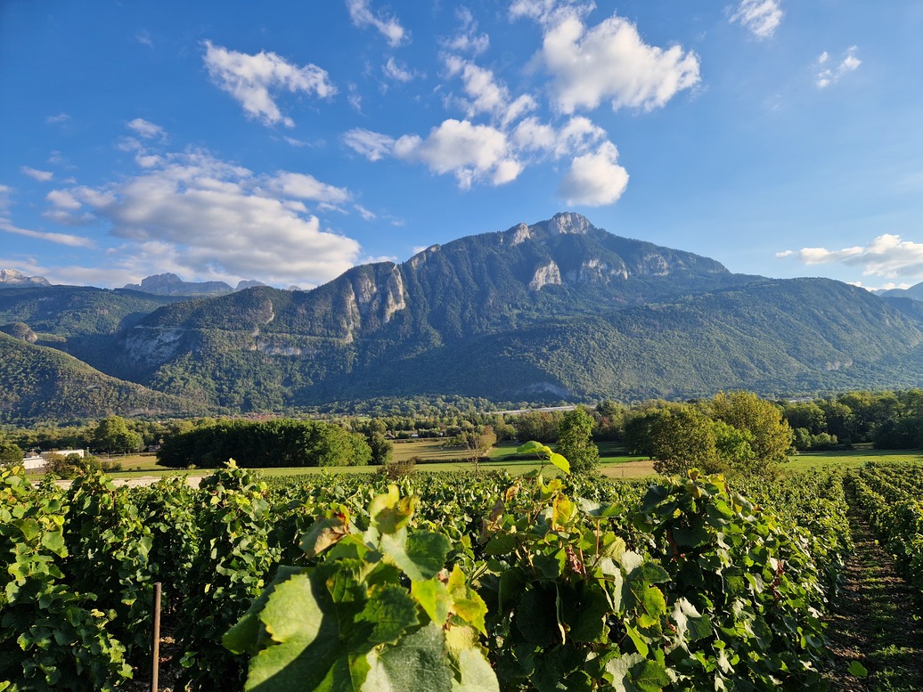 La GourmAnd’Yze – Where Vineyards, Heritage, and Local Flavors Meet