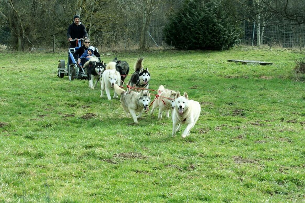 D'Oumiak Aventure