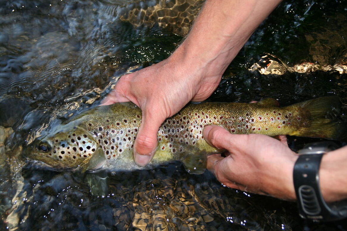 Fishing