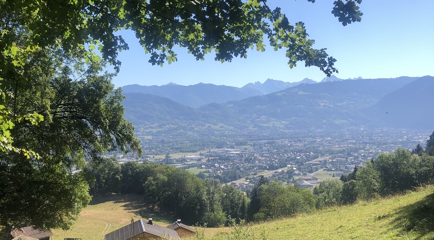 Praz Bassoux pasture