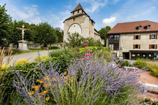 Programme estival 2026 Contamine-sur-Arve